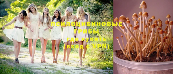 герыч Алексеевка