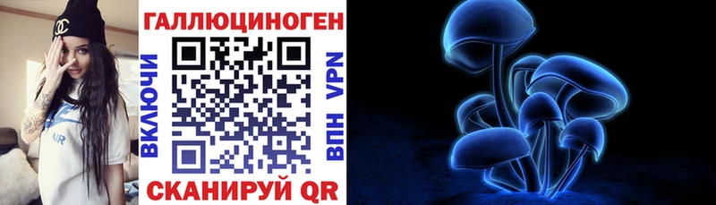 Галлюциногенные грибы Magic Shrooms  Владивосток 