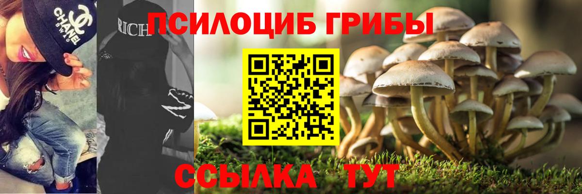 Псилоцибиновые грибы Cubensis  дарнет шоп  Владивосток  Вход с VPN  Псилоцибиновые грибы прущие грибы 