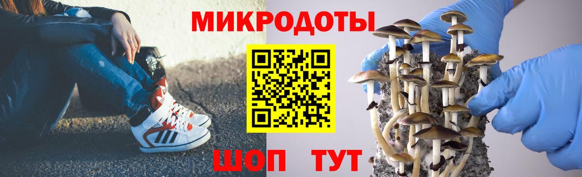 Галлюциногенные грибы Cubensis Владивосток